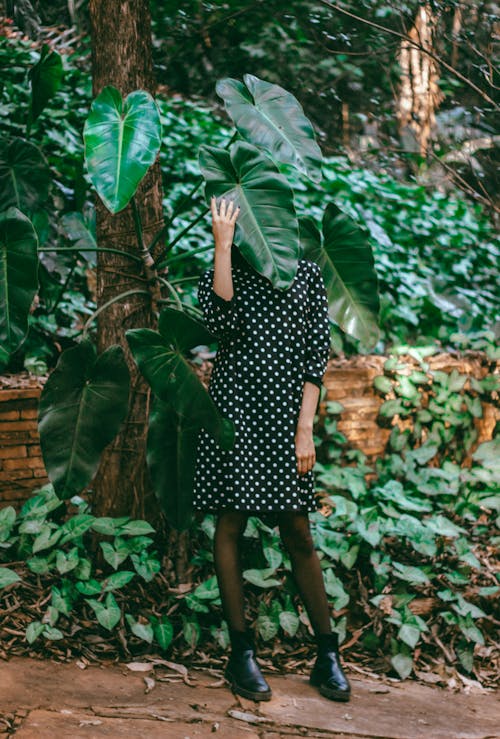 Model Covering its Face with Green Taro Plant