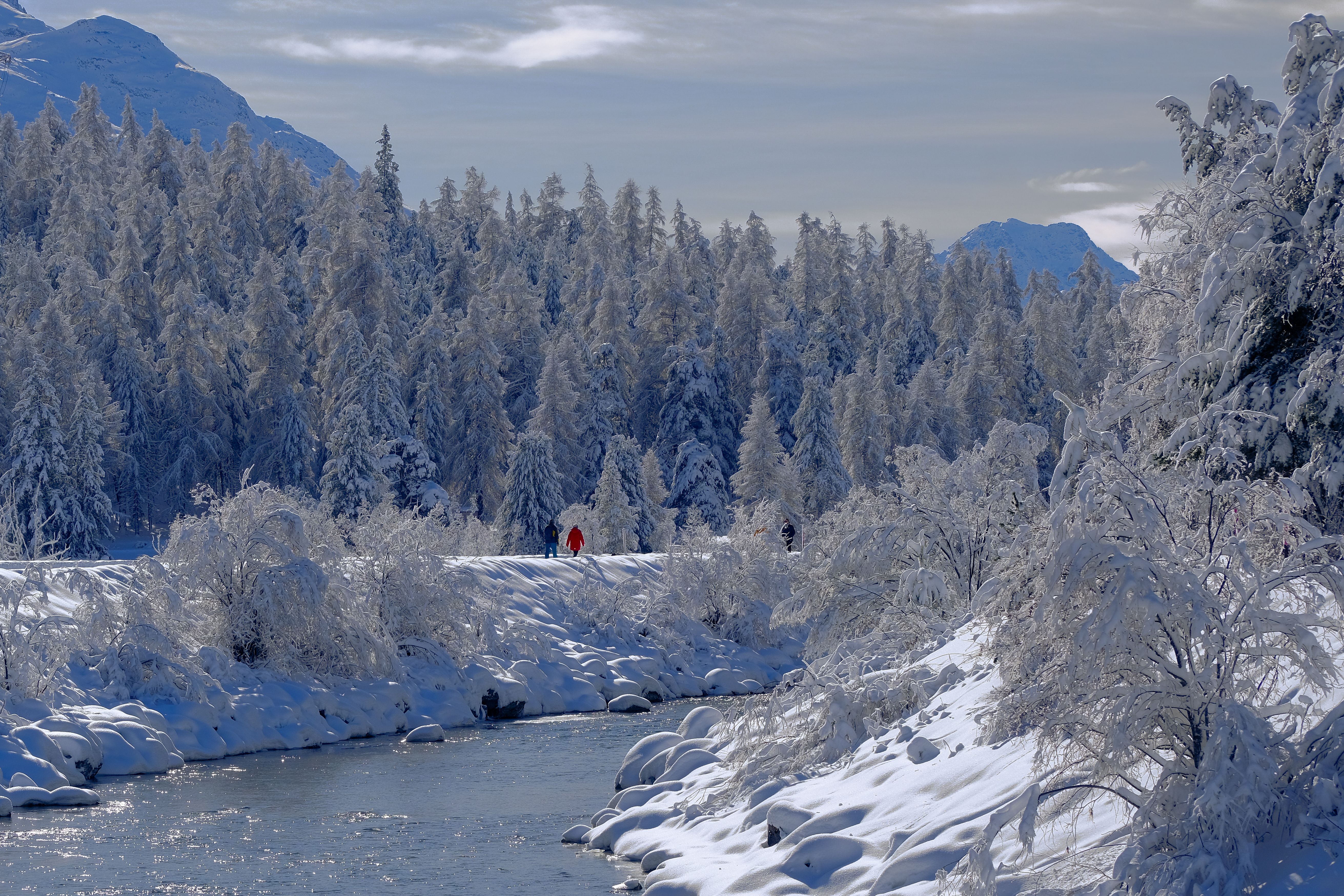Alaska attorneys to provide free legal help on MLK Day holiday — Photo by Alexandru MnM on Pexels