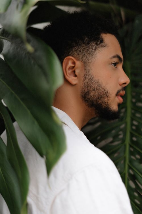 Free Side profile of a young man amidst lush green tropical leaves. Stock Photo