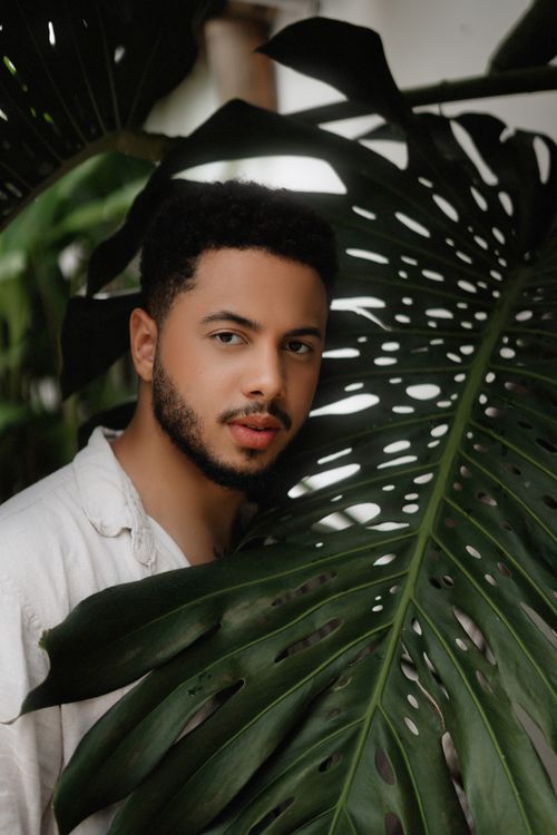 Free An adult male posing behind tropical Monstera leaves, exuding a natural and serene vibe. Stock Photo