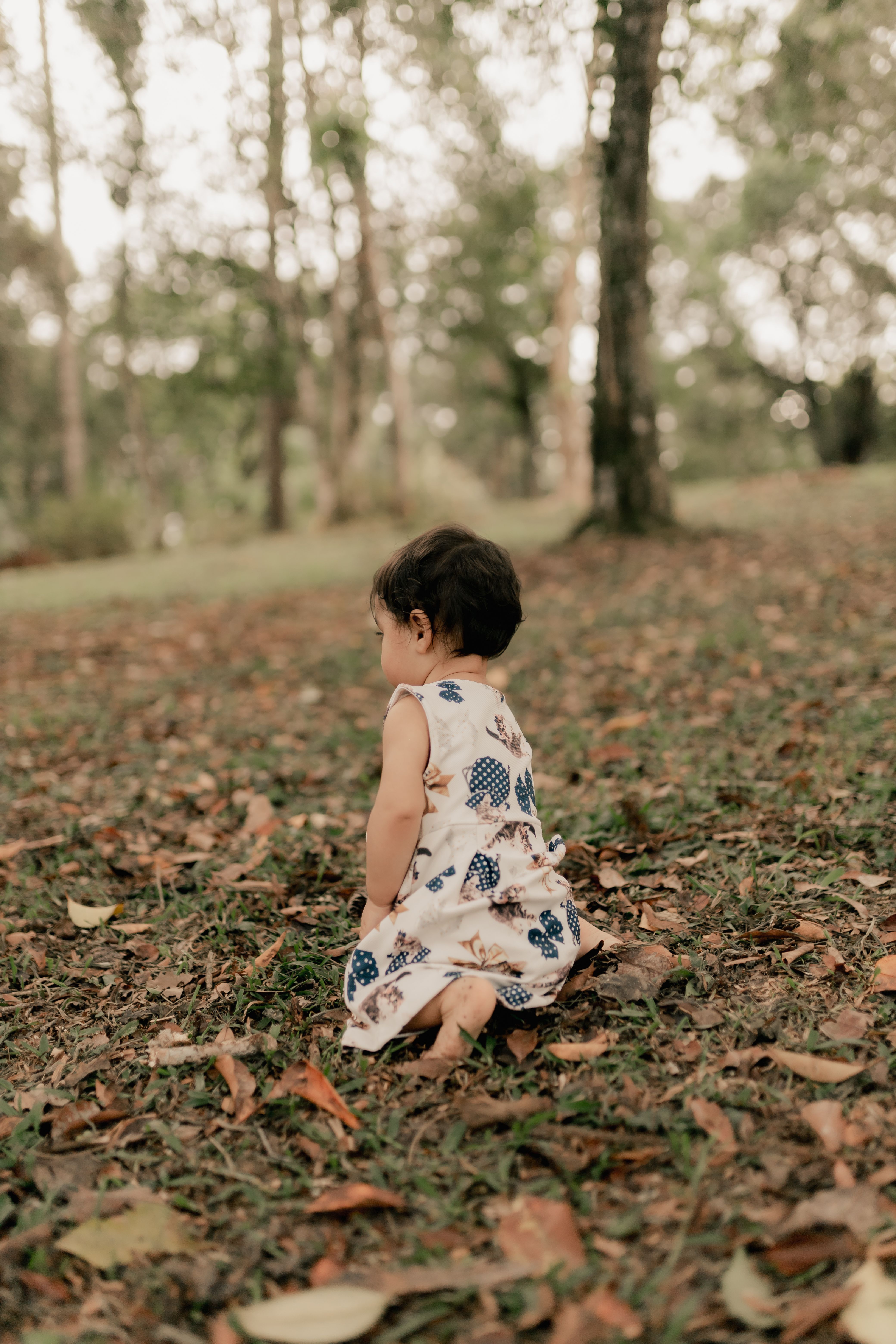 Children Playing In Leaves Photos, Download The BEST Free Children ...