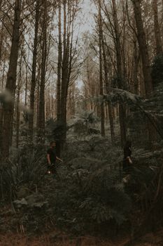 Two people navigating a lush, dense forest, surrounded by tall trees and greenery.