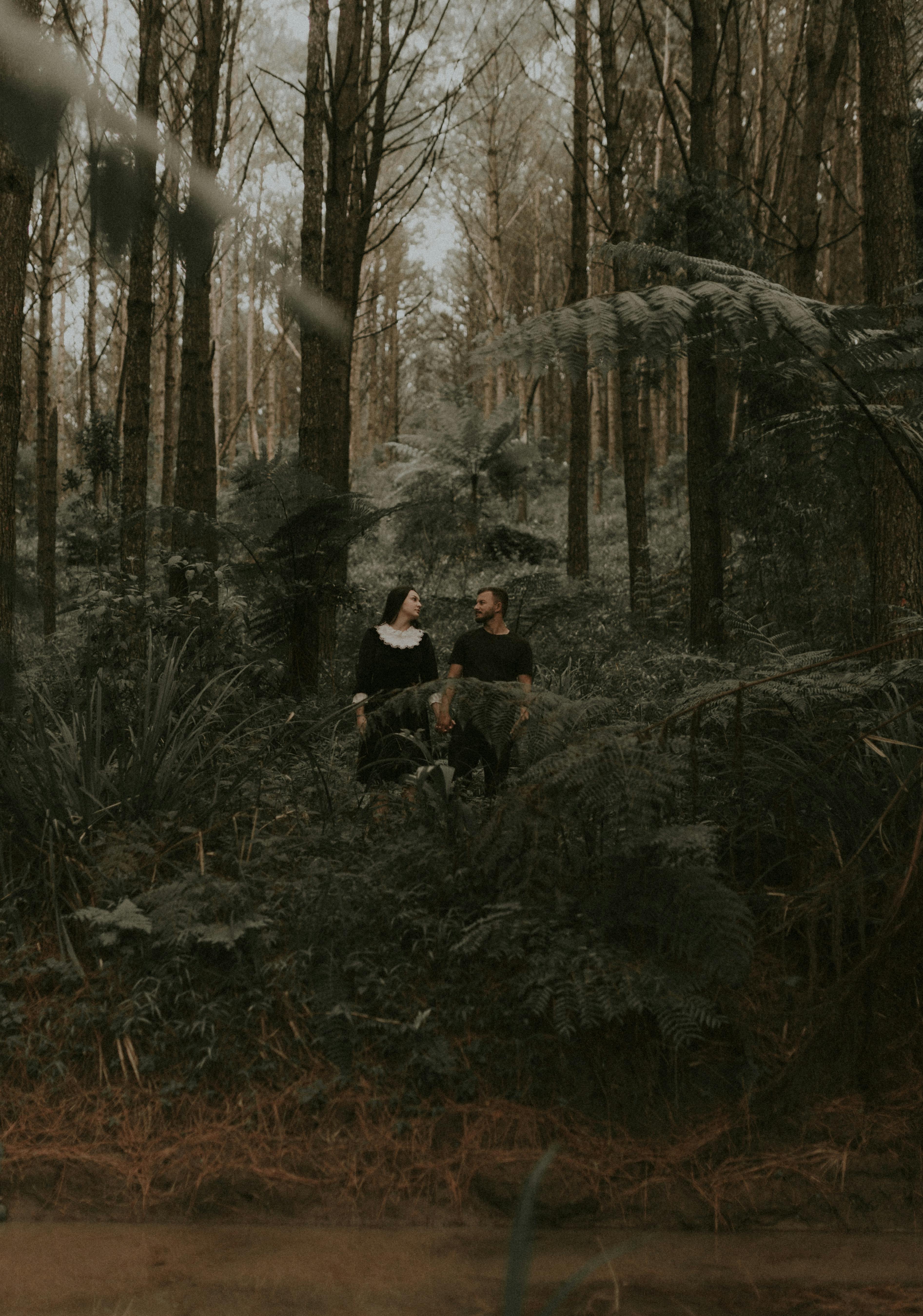 The Ultimate Guide to 99 Nights in the Forest: Why Every Nature Lover Should Embrace This Journey