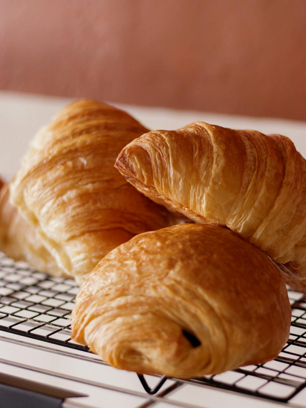 Sourdough Chocolate Croissants