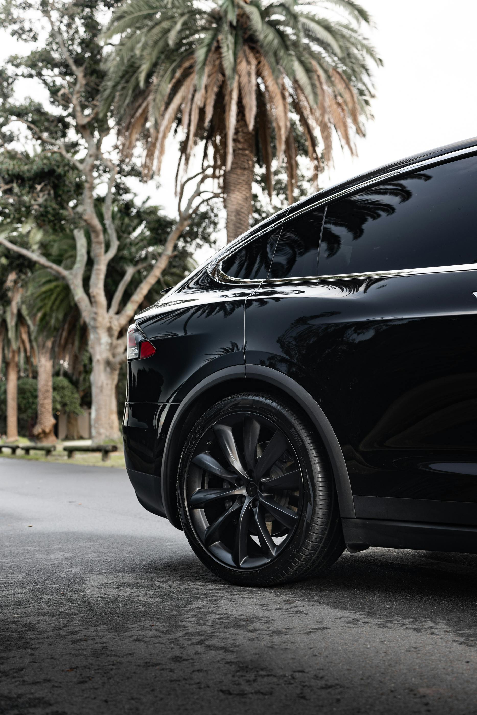 Zadarmo Tesla Model X Na Ulici Sydney Lemovanej Palmami Fotka z fotobanky