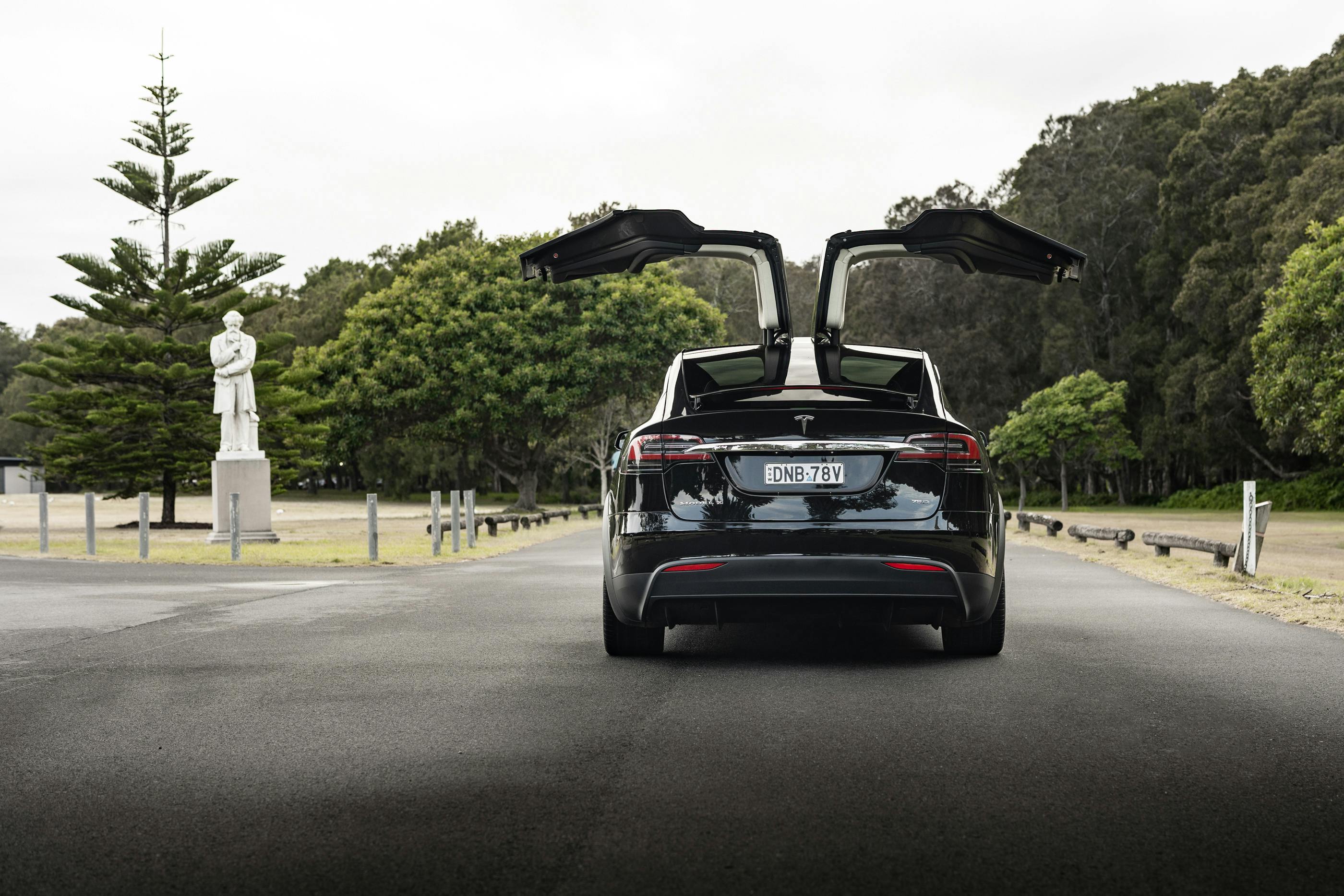 免费 特斯拉 Model X 的后视图，鹰翼门打开，停在风景优美的公园中。 素材图片