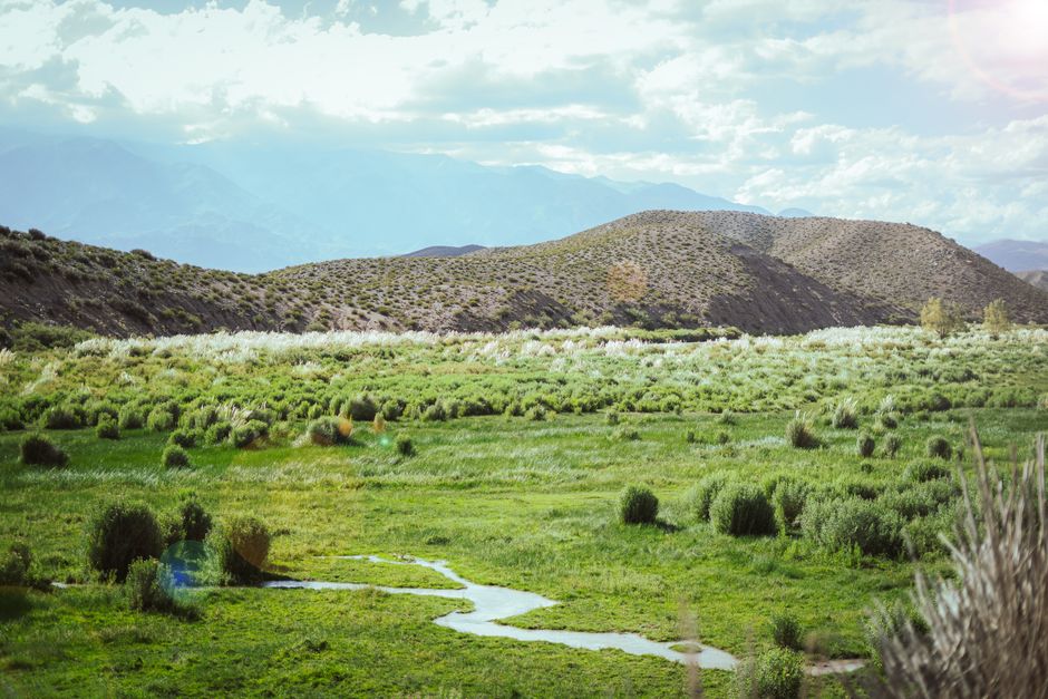 Visa Étudiant Argentine — Études Universitaires et Formation 2026