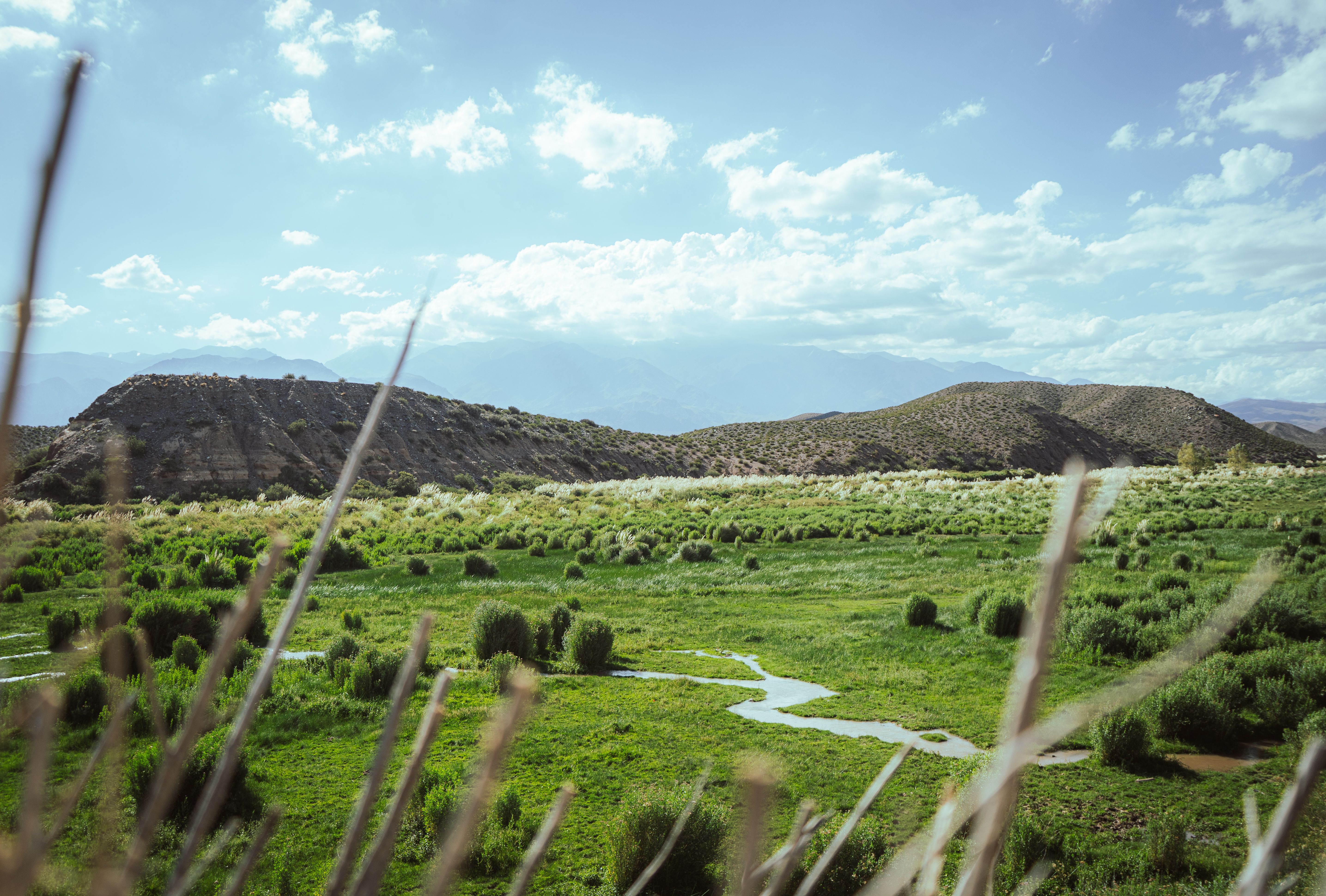 Mendoza