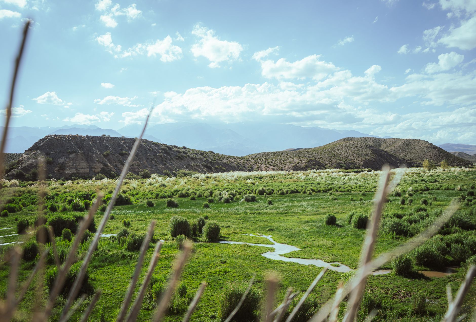 Mendoza