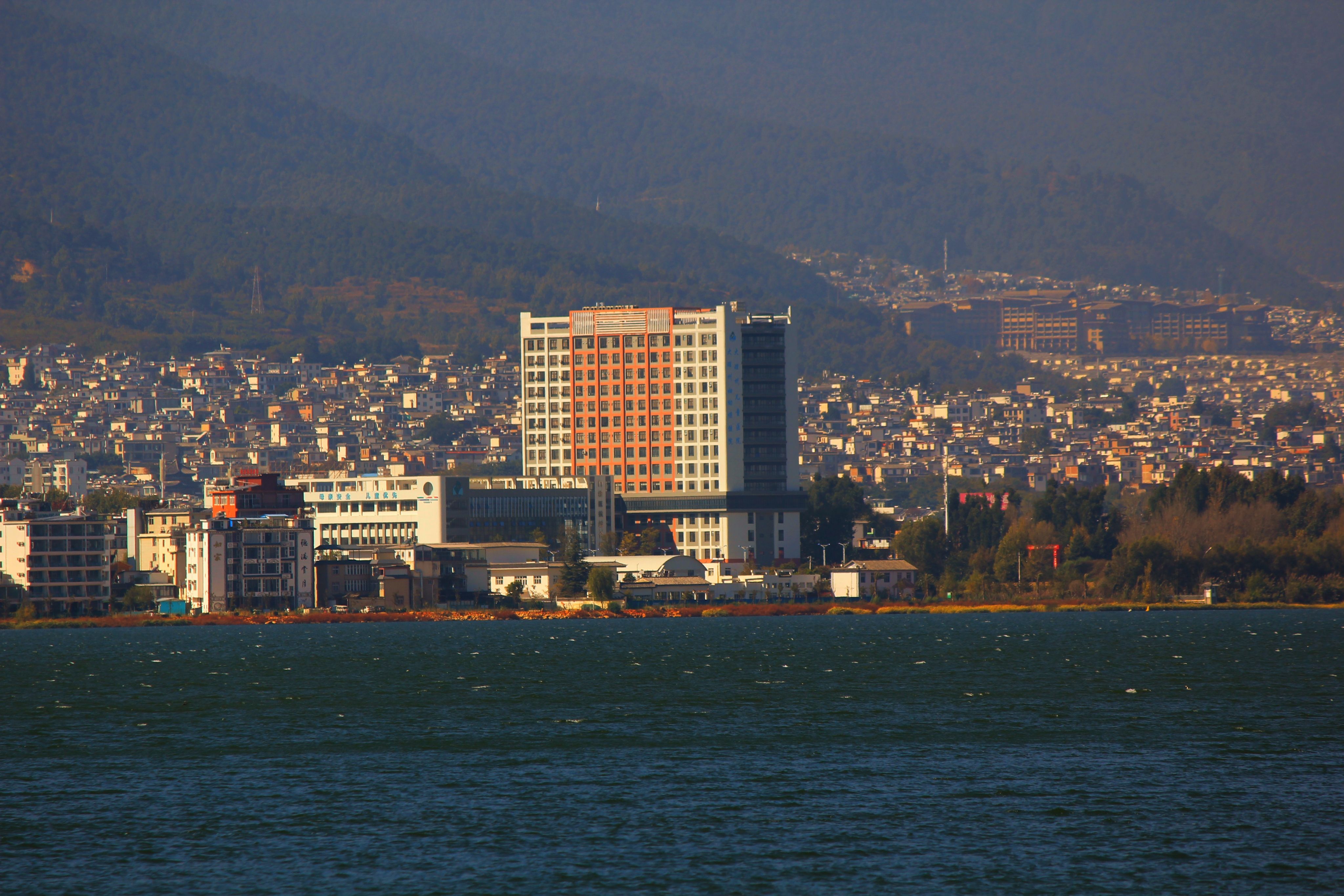 Burua