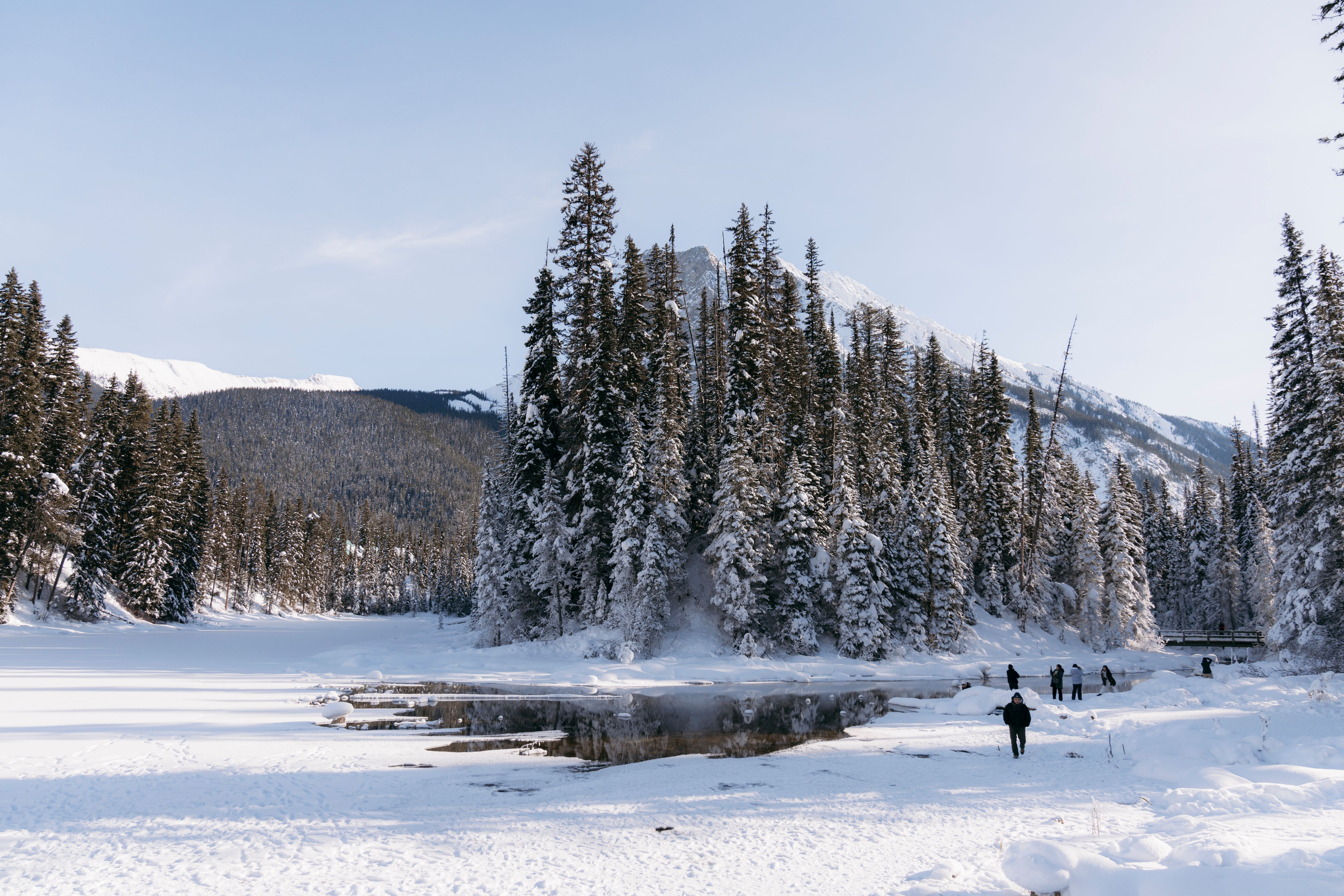Winter Wonderland in Alberta's Scenic Wilderness · Free Stock Photo