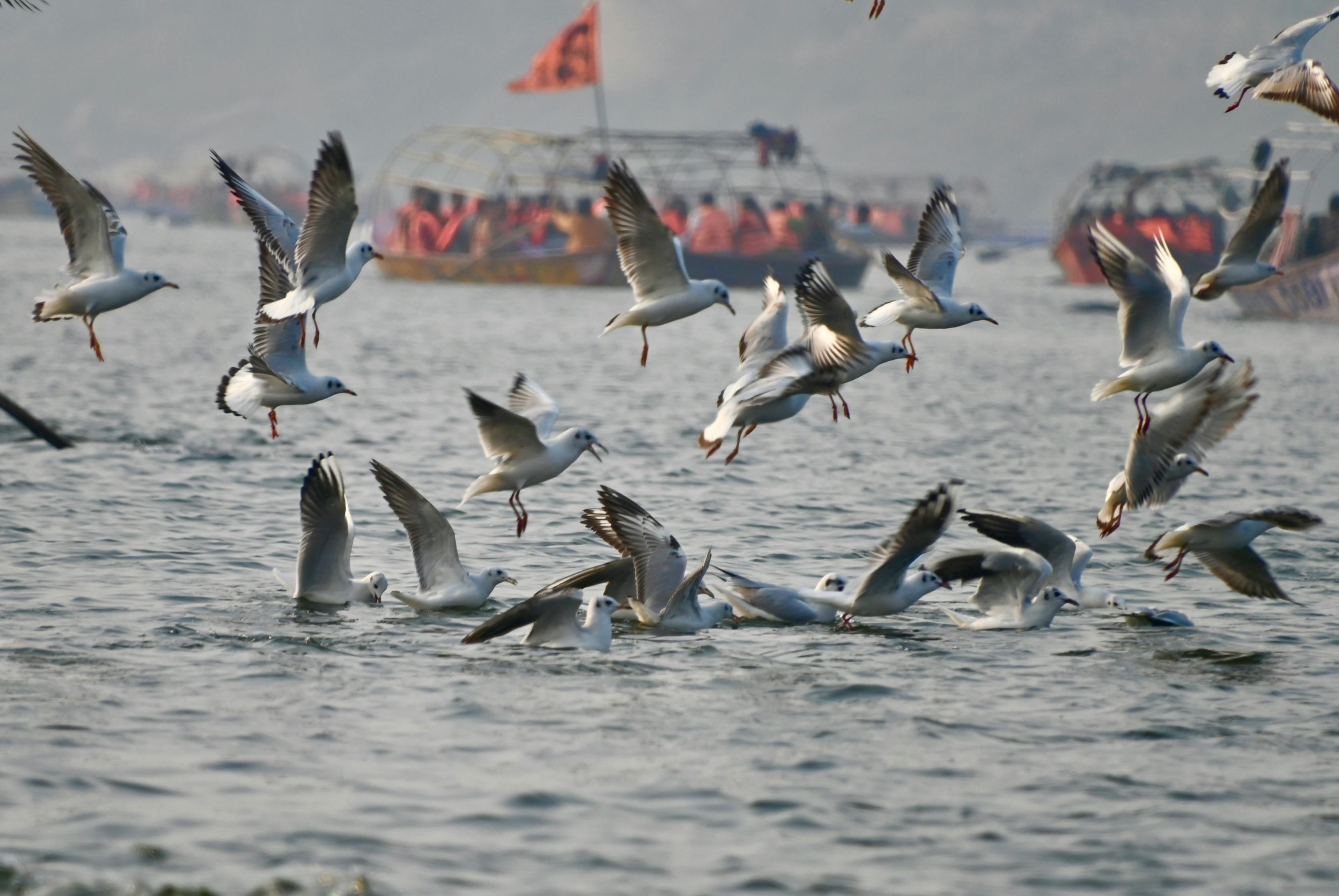 Sacred Pilgrimage Rituals