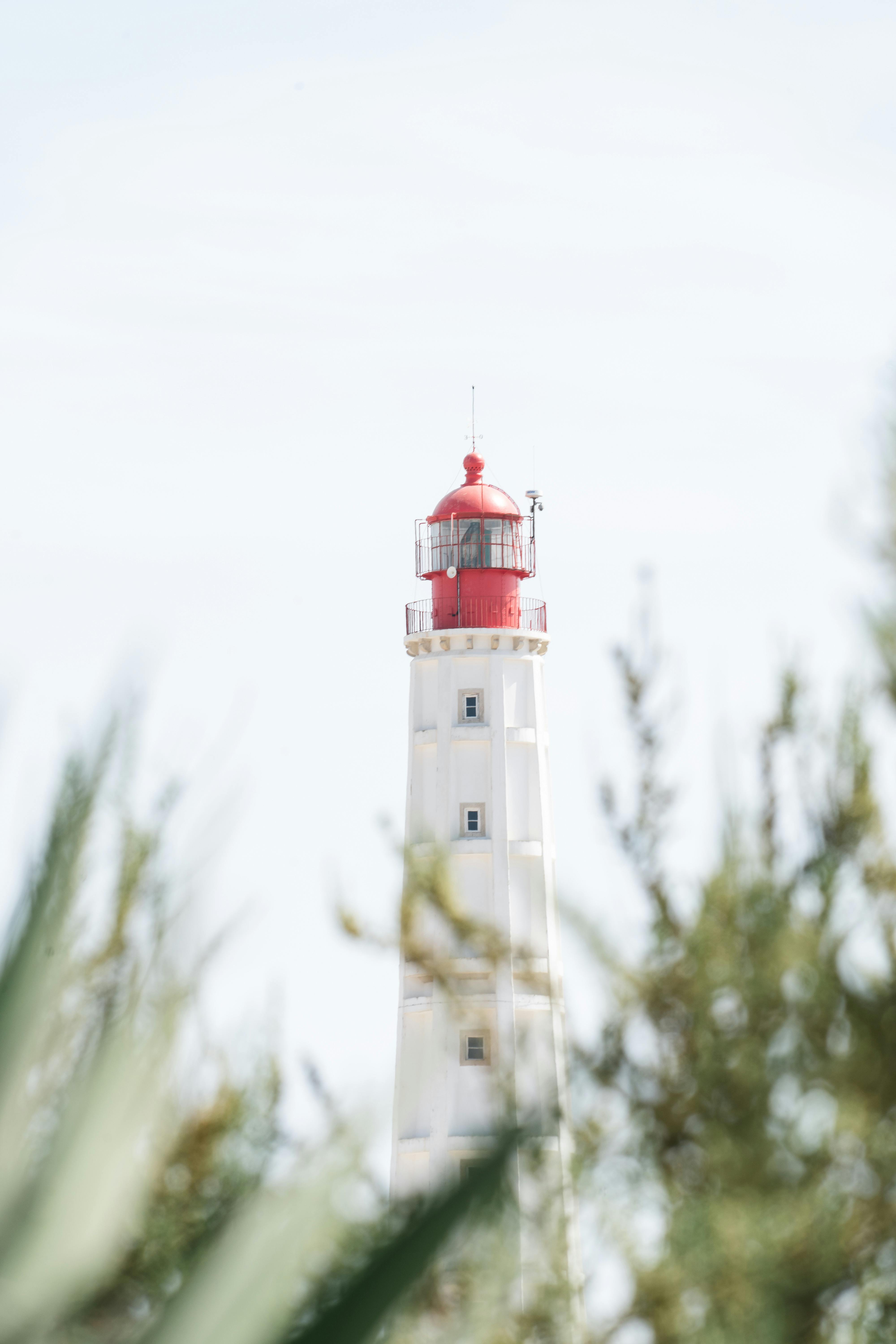 A classic lighthouse peeks through foliage, set against a clear sky in Portugal.