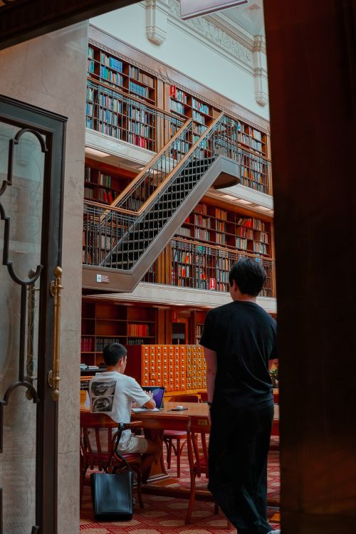 Free A cozy and classic library setting with people reading and bookshelves towering high. Stock Photo