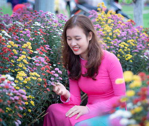 Free A woman in a pink áo dài admires colorful chrysanthemums in Quy Nhơn, Việt Nam, showcasing vibrant floral beauty. Stock Photo