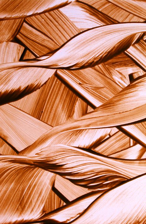 Textured Leaves Examples Abstract Close-Up of Textured Leaves Formation · Free Stock Photo