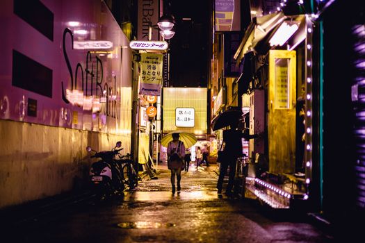 在霓虹闪烁、雨水浸湿的小巷中，探索东京充满活力的夜生活，感受城市魅力与缤纷路灯交相辉映