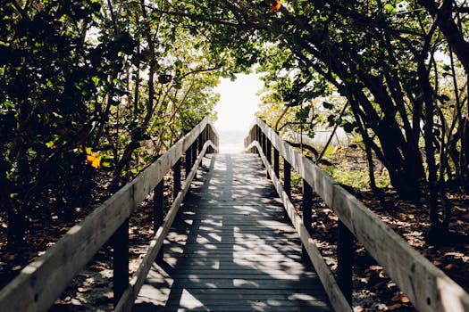 A sunlit boardwalk surrounded by greenery leading to a pristine beach in Bonita Springs, Florida.