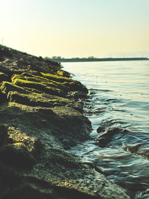 Free Tranquil shoreline with moss-covered rocks at Hirakud, perfect for nature enthusiasts. Stock Photo