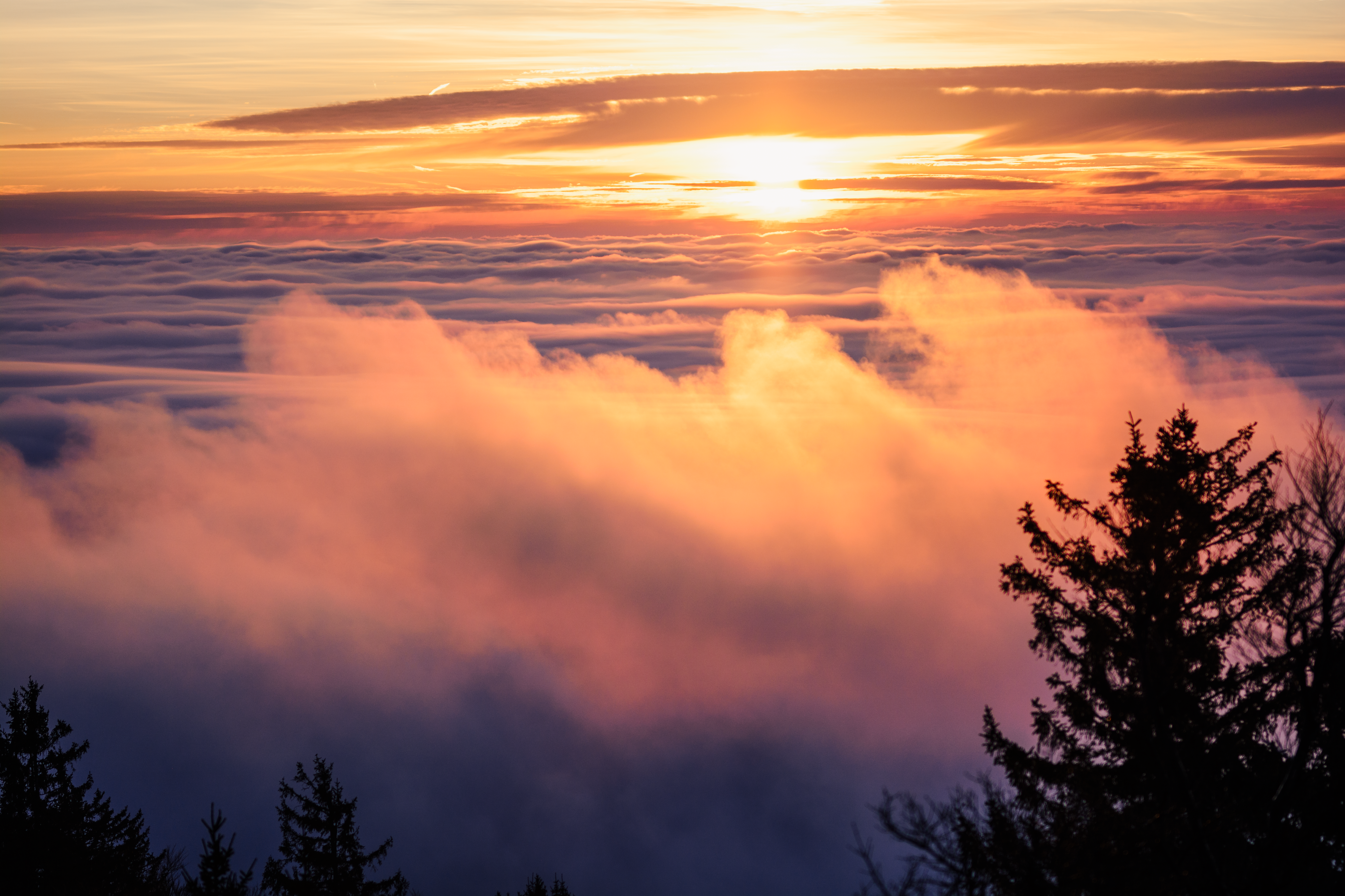 Enchanting Sunrise Above a Sea of Clouds · Free Stock Photo