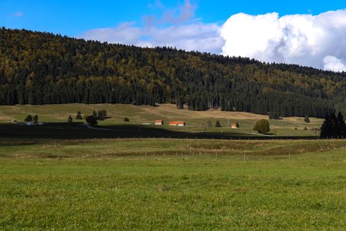 Free Peaceful countryside scene with lush green fields, dense forest, and clear blue skies. Stock Photo