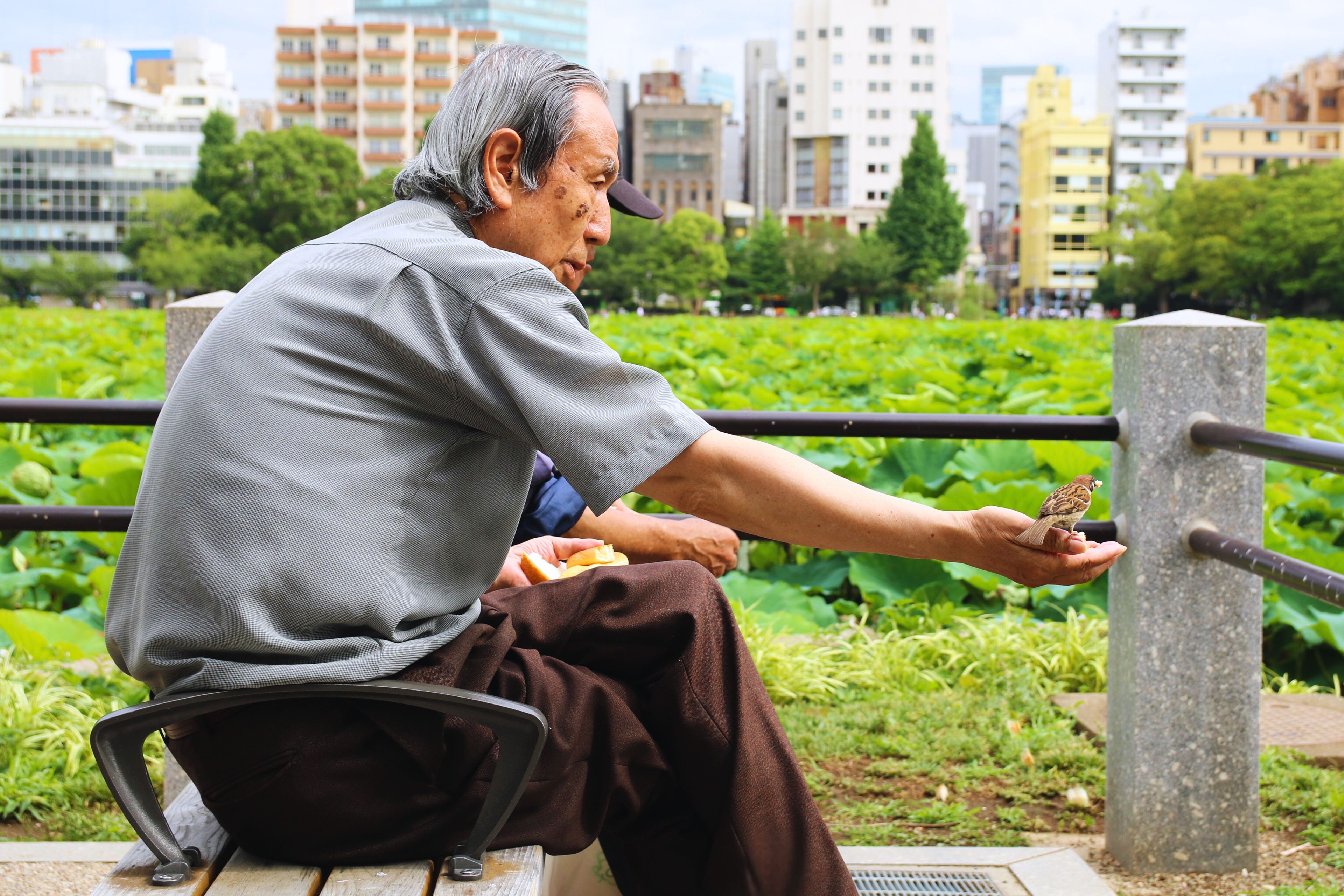 【2026年10月更新】厚生年金は入らない方が得？｜不足額3基準