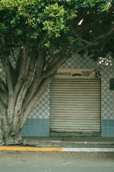 Closed barbershop with tiled facade and tree in Aguascalientes, México.