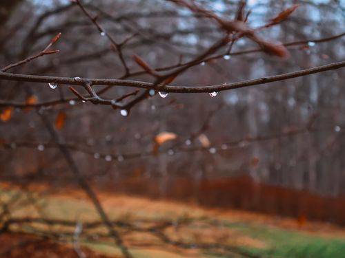 Free raindrops rain winter Stock Photo