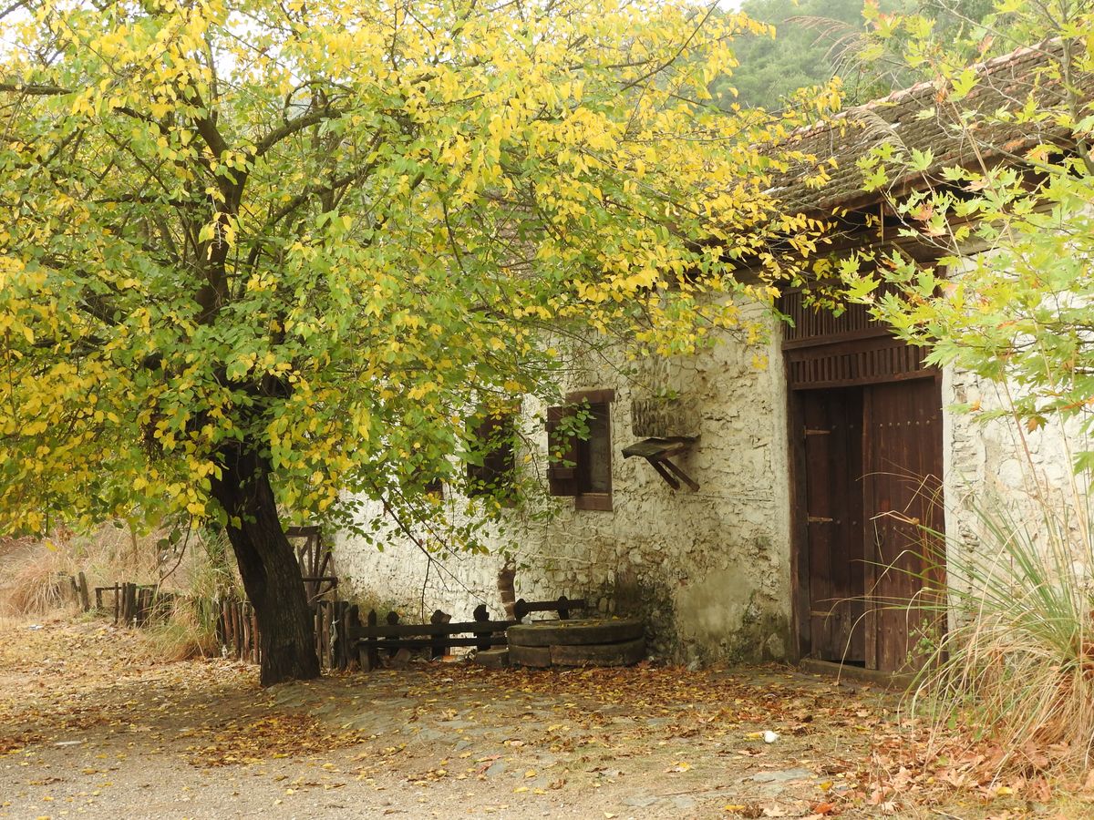 Casă rustică de piatră în peisaj de toamnă