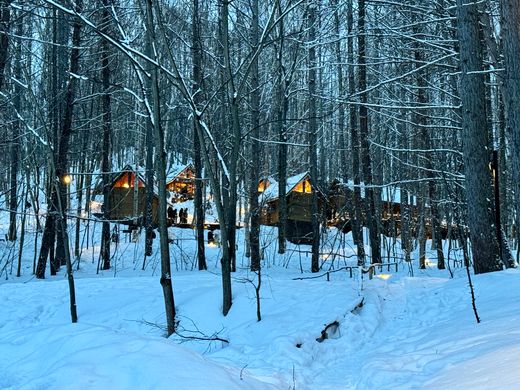 Cabins in a snow-covered winter forest — photo by Perati Wattanawikkarn on Pexels