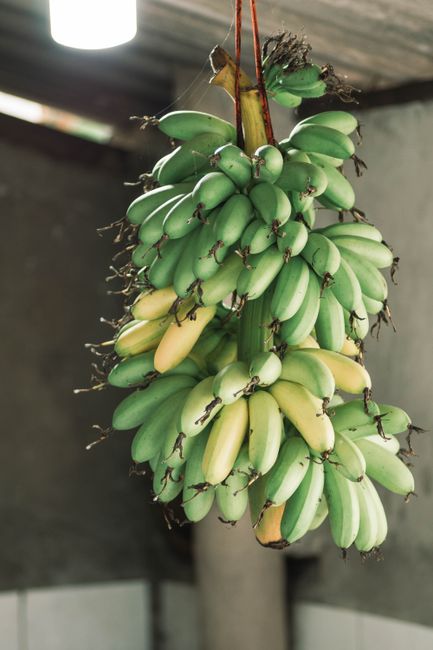 A bunch of yellow bananas with brown speckles sitting next to a folded brown paper bag on a kitchen counter.