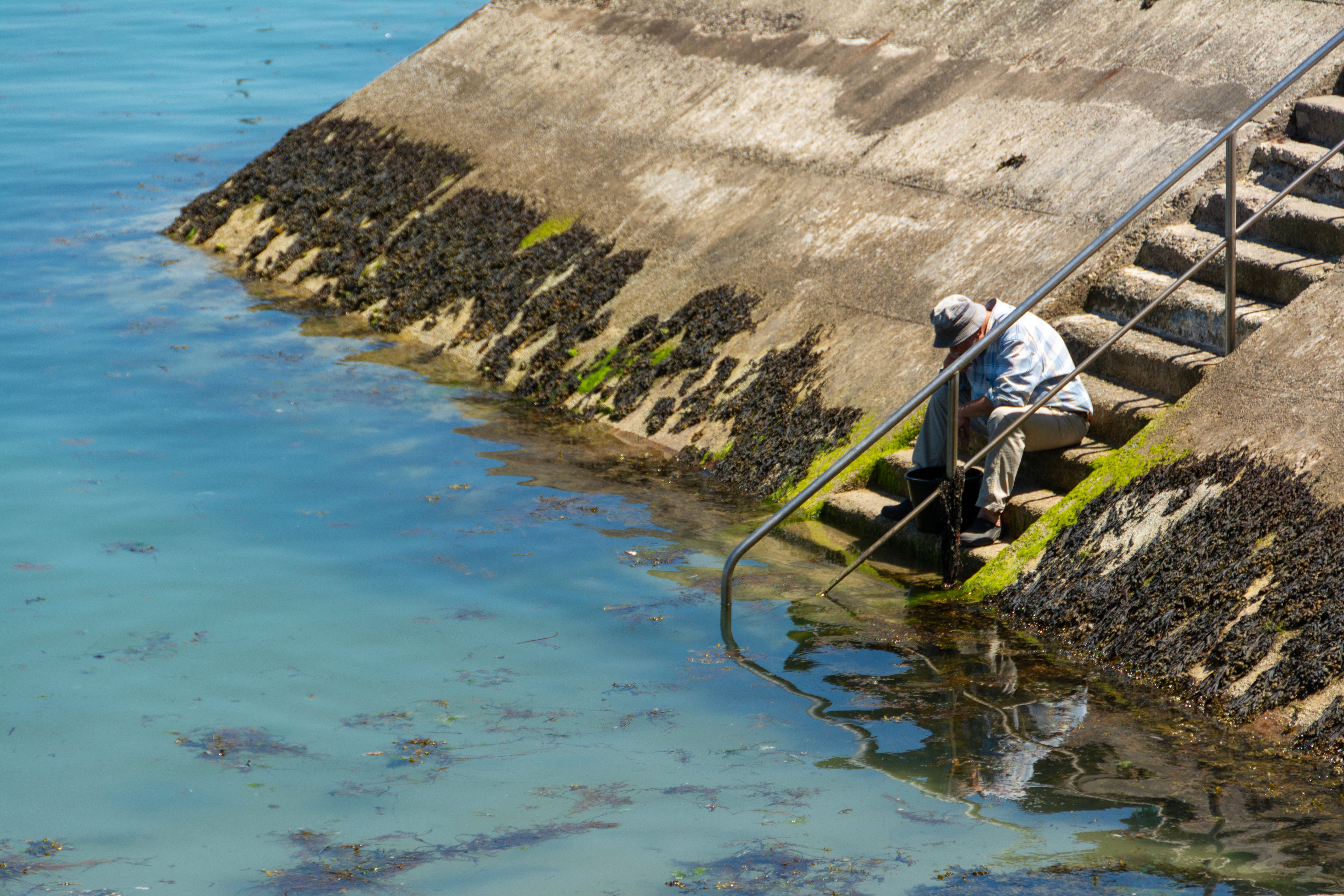 Solitary Contemplation by the Quay Steps · Free Stock Photo