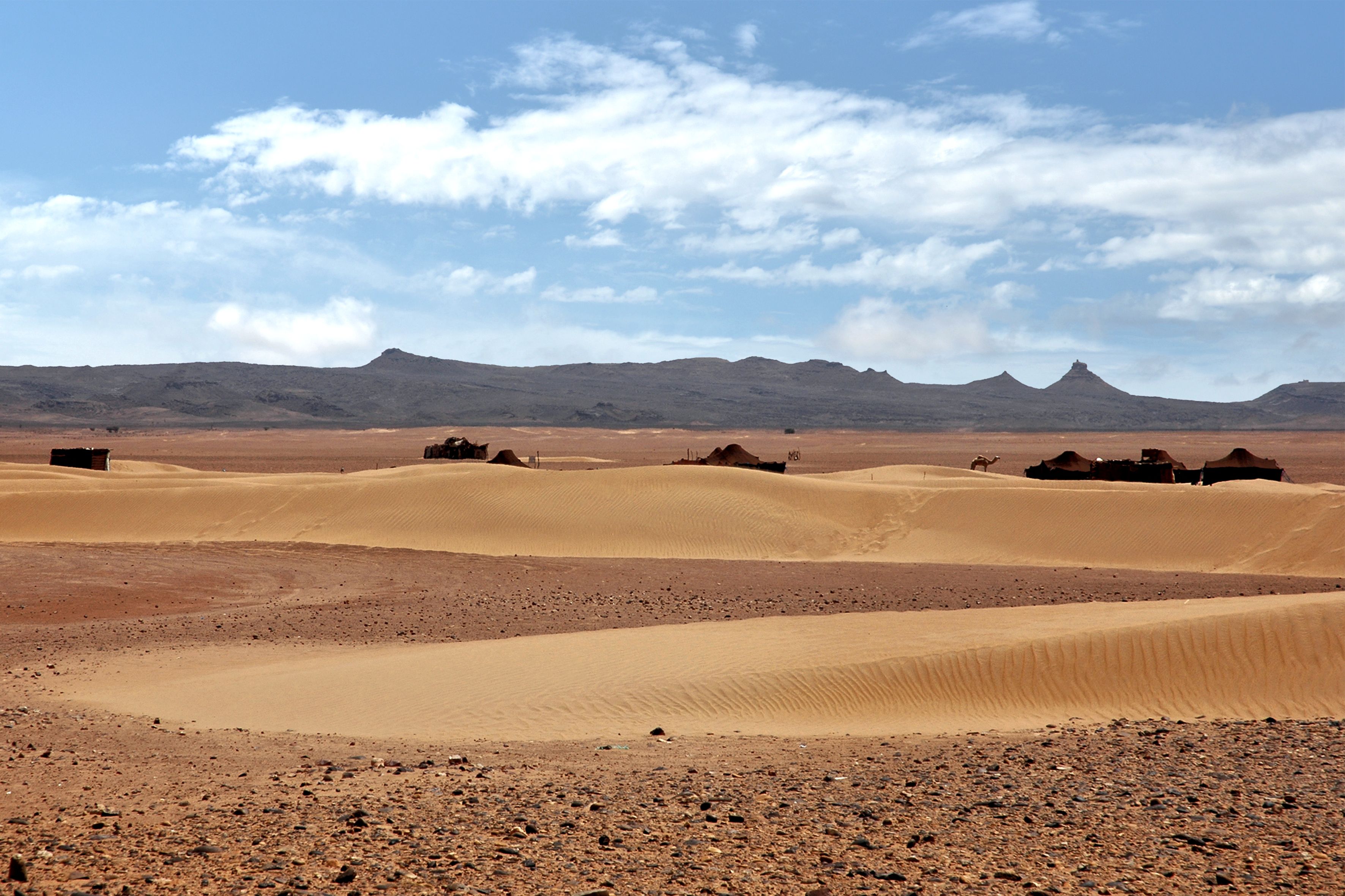 El Alamein: The Pivotal Battle in North Africa