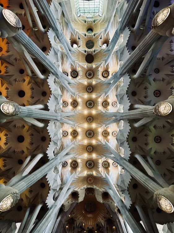 Intricate Interior of Sagrada Familia · Free Stock Photo