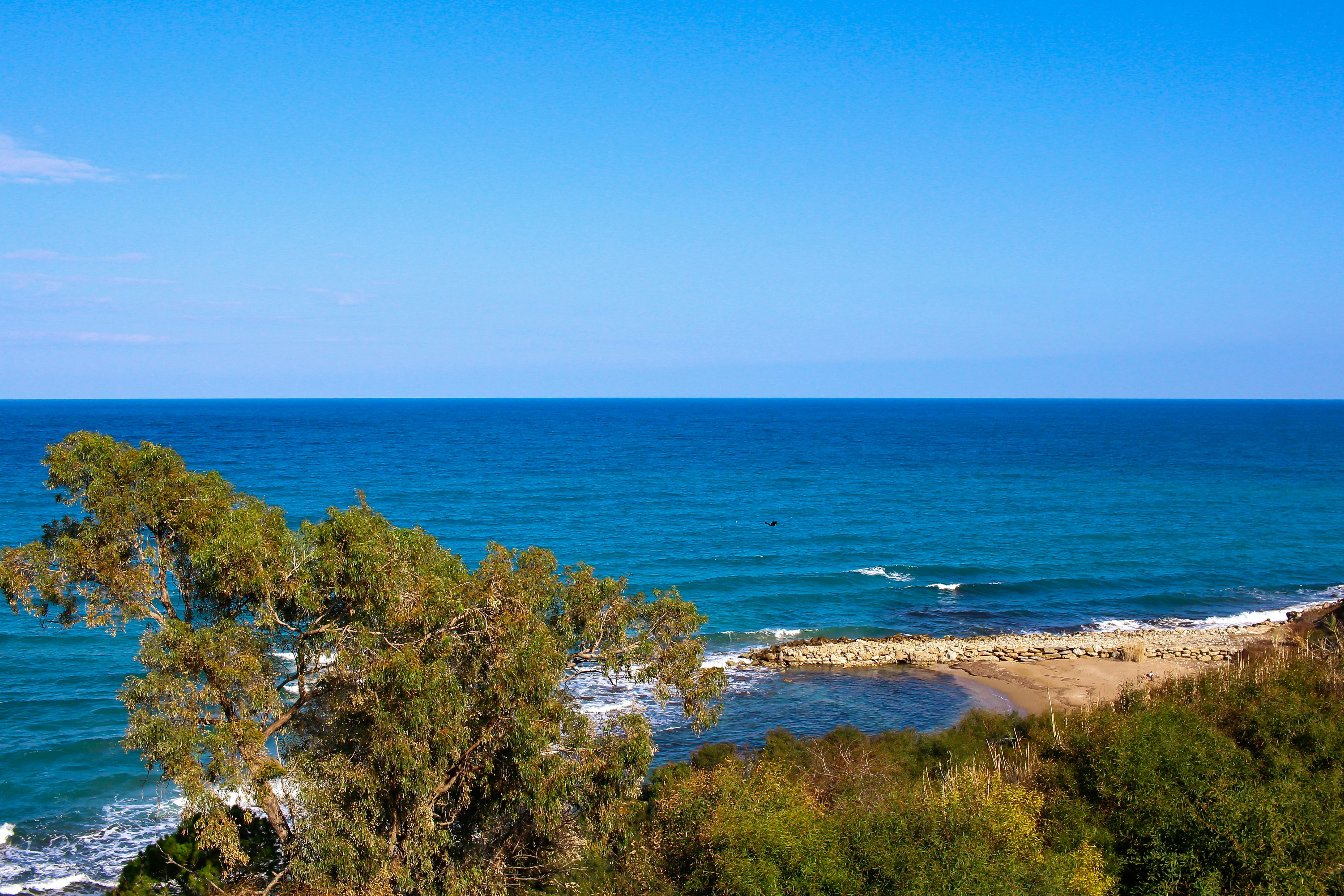 A breathtaking view of a blue ocean with a rocky shoreline and lush greenery under a clear sky. - Photo by öykü  su on Pexels
