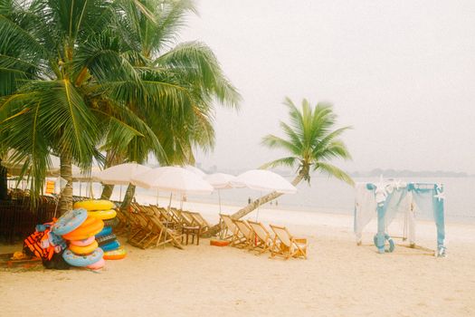 Serene tropical beach with palm trees, umbrellas, and lounge chairs, perfect for summer relaxation.