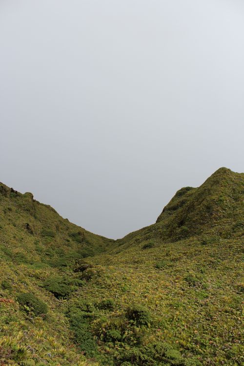 Free Captivating view of lush green mountains under an overcast sky in Martinique. Stock Photo