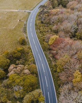 从空中俯瞰，一条蜿蜒的乡村道路被秋日的树木环绕，展现着大自然充满活力的色彩