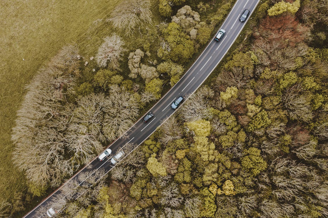 Imagine de stoc gratuită din arbori, autostradă, autoturisme