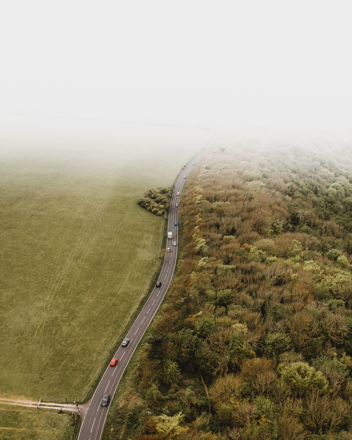 Aerial view of vehicles travelling along a road through forest