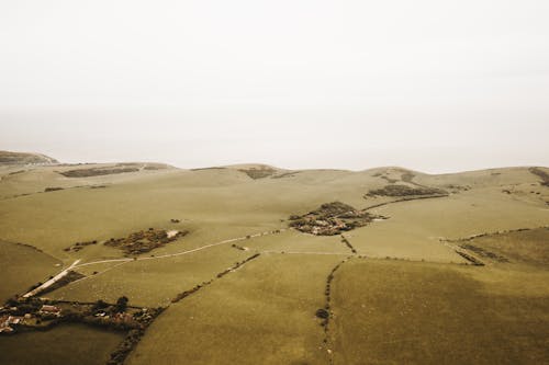 Aerial View Of Grass Field