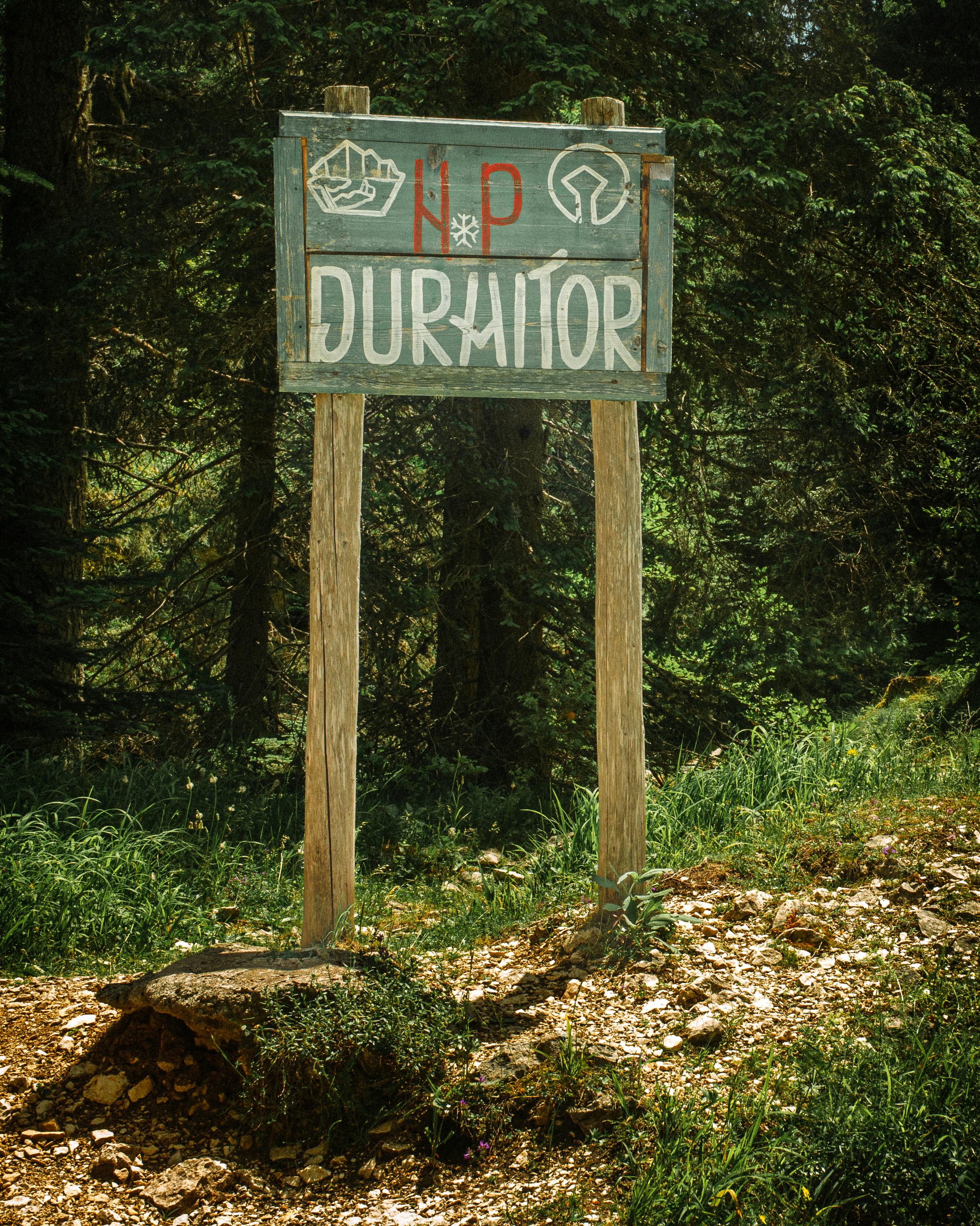 Productivity For Procrastinators