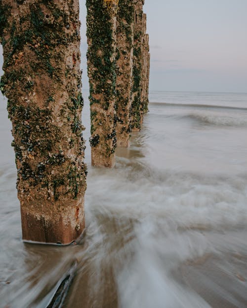 Безкоштовне стокове фото на тему «берег моря, вода, Деревина»