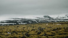 冰岛的雪山与苔藓，在多云的天空下构成一片风景
