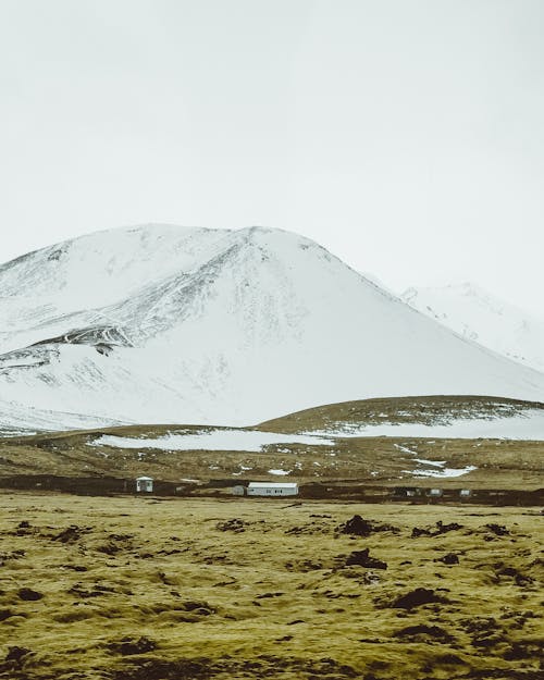 Пейзажная фотография пастбищ через заснеженную гору
