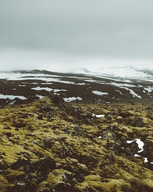 Campo Verde Con Nieve