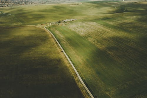 Green Grass Farm Scenery