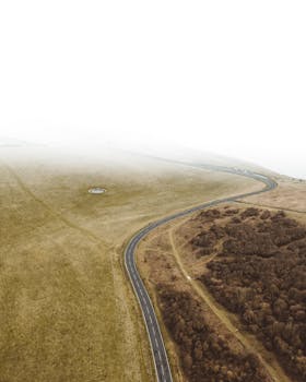 从上方俯瞰，蜿蜒的道路穿过雾蒙蒙的草地和林地，呈现出一片宁静的景观