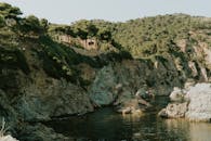 夏日阳光下，松树与清澈的海水映衬着宁静的岩石海岸线