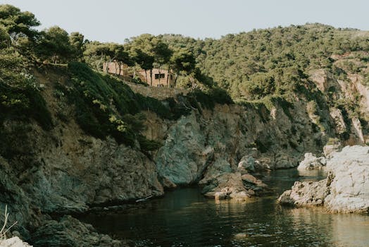 夏日阳光下，松树与清澈的海水映衬着宁静的岩石海岸线